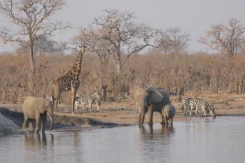 Victoria falls to Hwange National Park Package