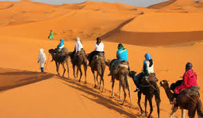 Fes to Marrakech, Camel Ride in Erg Chebbi Private Tour Package