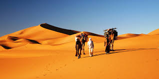 Marrakech, Erg Chebbi, and Fes: Private Tour Package