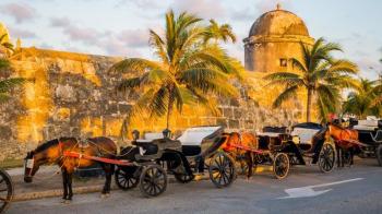 Your Private Horse - Drawn Carriage Cartagena Tour