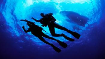Beach & Diving Experience Package