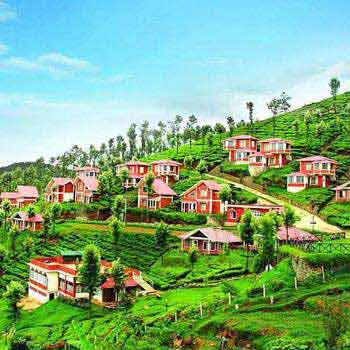 Ooty Holiday Package Tour