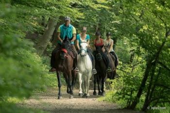 Horseback Riding - Mountain Stroll