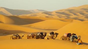 5 days Desert nomade tour Package