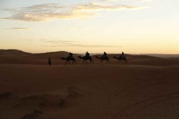 5 days Marrakech / Fes desert tour