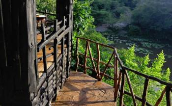 Shimba Forest Lodge Tour