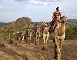 Camel Ridding Tour