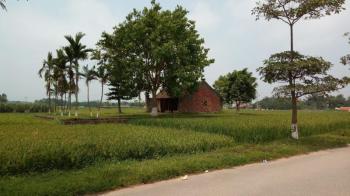 Duong Lam Ancient Village Package