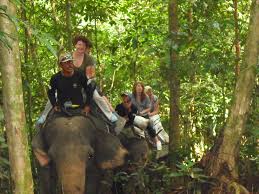 08 Days North – West Sumatra Overland Tour (included Orangutans)
