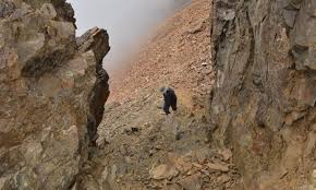 TRADITIONAL CLIMBING IN THE CENTRAL ANDES