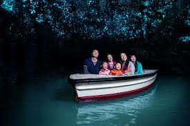 Waitomo Caves Tour Package