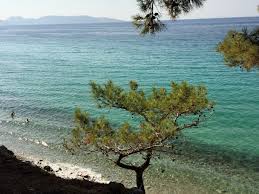 Picnic At Dilek Peninsula National Park