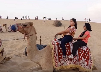 Best Camel Ride in Dubai Tour