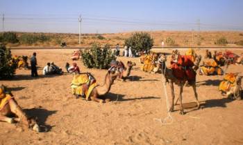 Arabian Night with Dune Bashing Tour