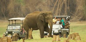 Kabini, Bandipore, Madhumalai National Park ,With Ooty Tour