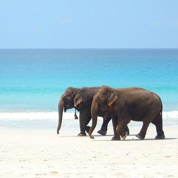 6N 7D Andaman Holiday Tour Package
