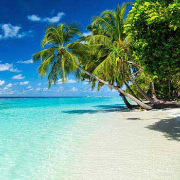 3N/4D Maldives Holidays Tour Package