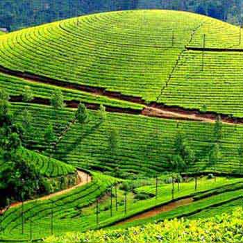 Tours To Kerala Deluxe Package
