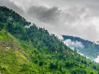 Kullu Manali Shimla Honeymoon Tour Packages from Mirzapur and Vindhyachal