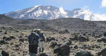Kilimanjaro Trekking Via Shira Route Package