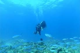 PADI Open Water Diving in Andaman Package