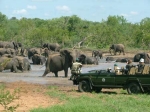 South Africa - Kruger Add On Tour Package