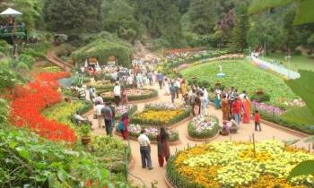 Ooty - Hyderabad Tour