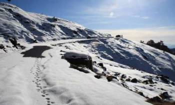 Chopta Christmas & New Year Camping with Trekking Package