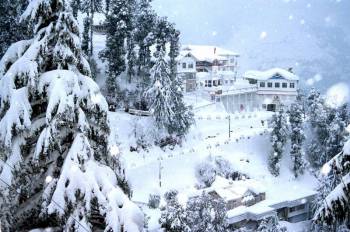 Manali Tour 6 Night 7 Day Package