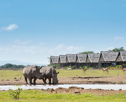 2 Days Sweetwaters Serena Camp Budget And Luxury Safari Tour Package
