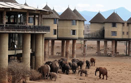 2 Days Taita Game Sanctuary Budget And Luxury Safari Tour From Mombasa