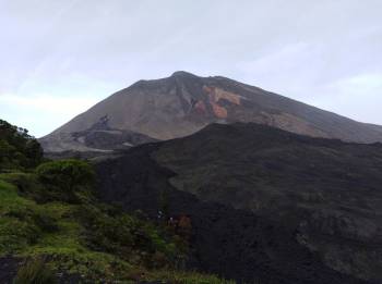 Pacaya Volcano Tour