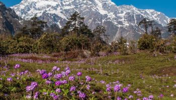 8 Night - 9 Days Sikkim Tour Package For - 12 Pax