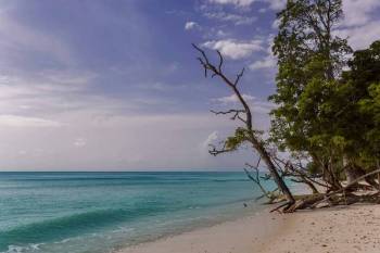 Andaman Beach Paradise 5 Days