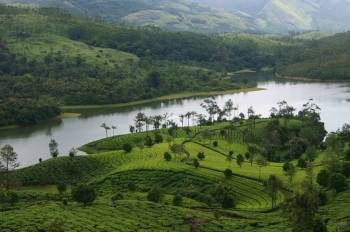 7 Nights Munnar - Thekkady - Alleppey - Kovalam - Kanyakumari Tour