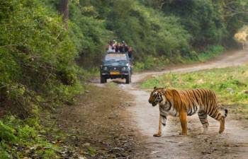 3 Nights 4 days Satkosia tour package