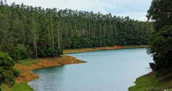 5 Night 6 Days Ooty  Tour Packages