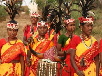 Tribal Tour in Orissa