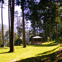 Mussoorie - Dhanaulti Tour