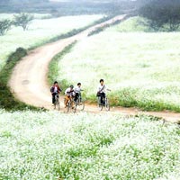 Mai Chau And Moc Chau Off Road Biking Tour 03 Days