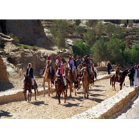 Tour from Eilat / Aqaba Port / Aqaba Airport (2D / 1N)