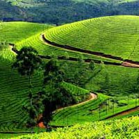 Kerala – God’s own country