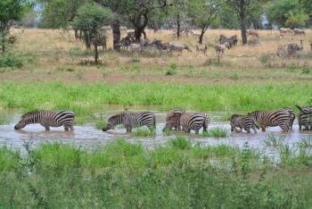 Sightseeing in Safari Uganda Tour