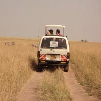 3 Days Maasai Mara Affordable Budget Camping Safari - Departs daily Tour