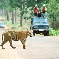 5 Jeep Safaris Tour