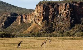 7-Day Amboseli - Hell’s Gate - Lake Naivasha - Masai Mara Budget Tour