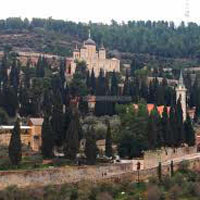 Holy Land - Israel Tour