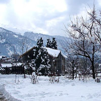 Manali Winter Splendour