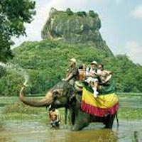 Amazing Sri Lanka Tour