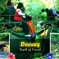 Dooars / Lataguri / Gorumara Package Tour